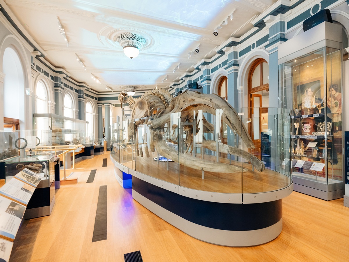 Age of sail gallery